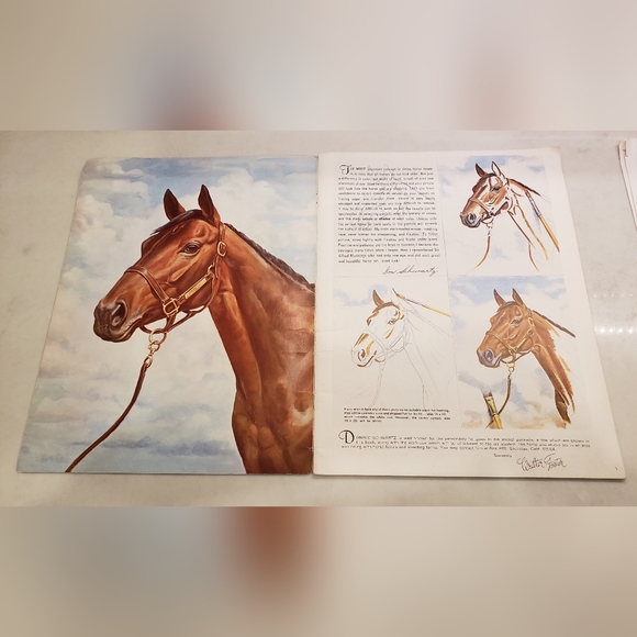 Horses Heads In Oils and Pastels by Don Schwartz - Picture 5 of 12